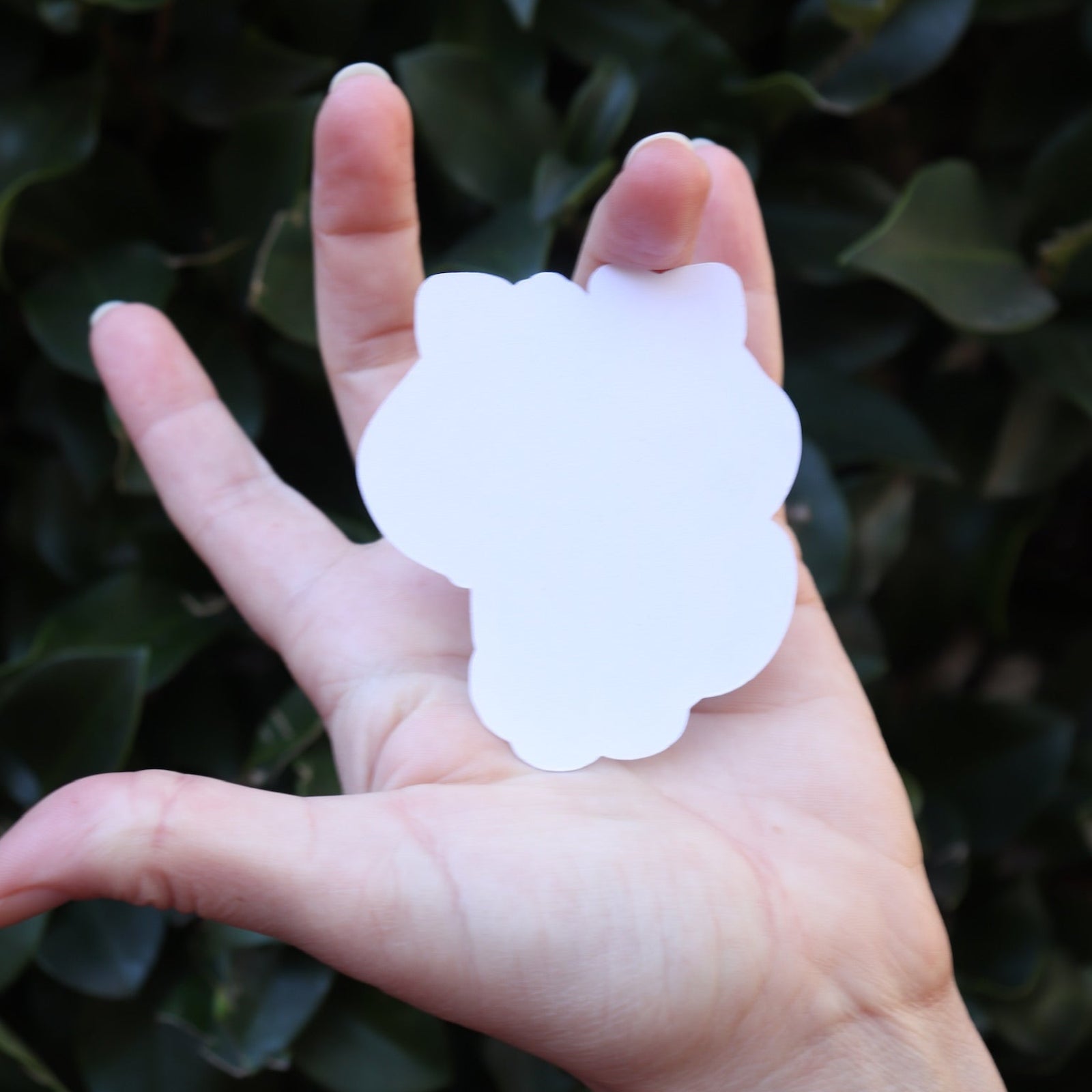 Someone holding the Derpy Tiger Kpop Demon Hunter Inspired Sticker in front of a green bush, showing off the back.