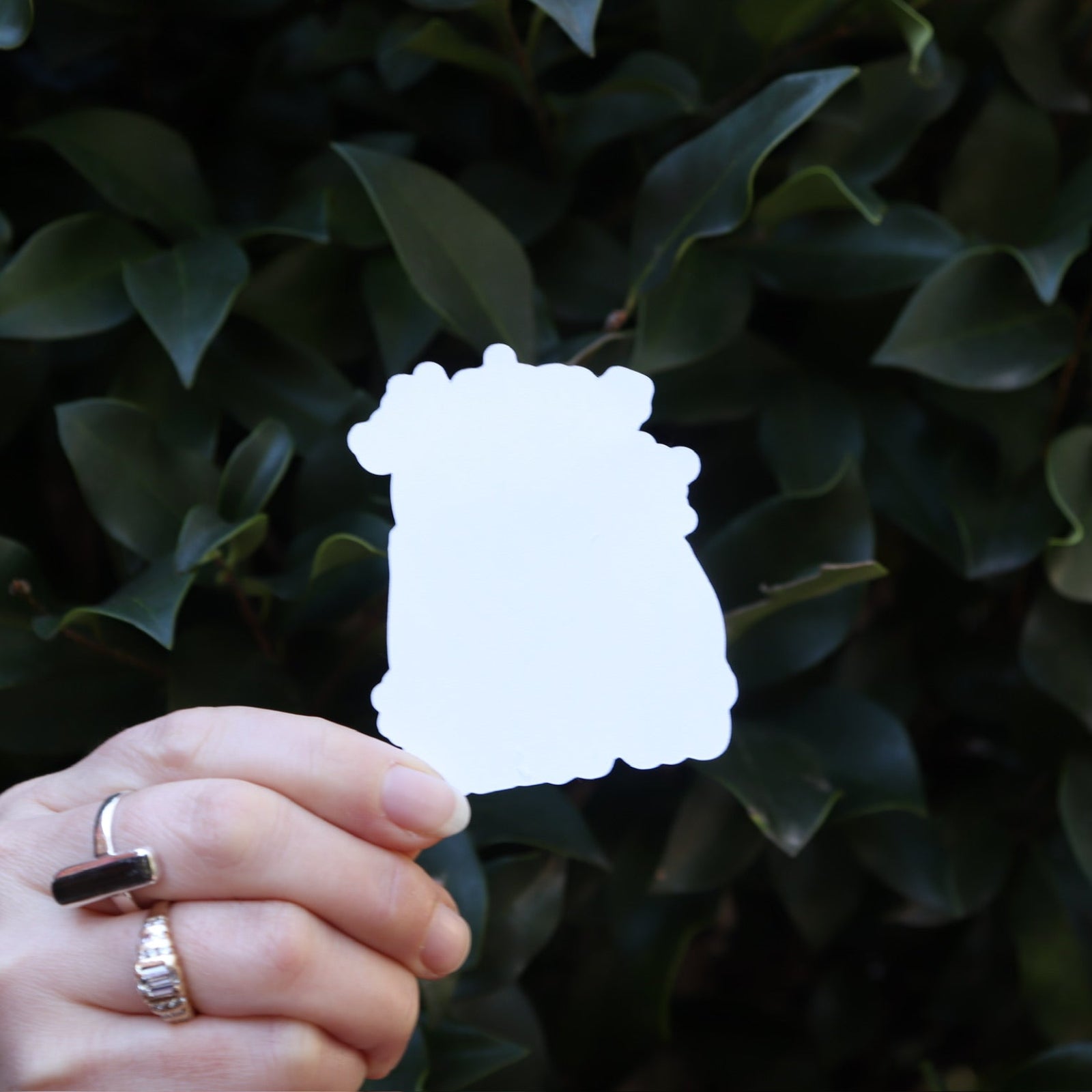 Someone holding the Even Baddies Get Saddies Funny Raccoon Sticker in front of a green bush, showing off the back.