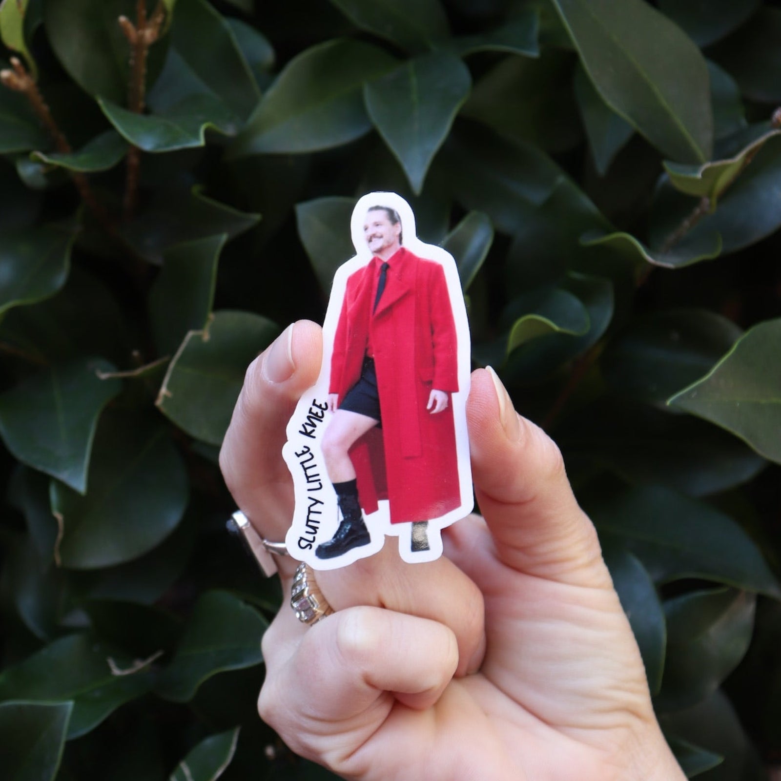 Someone holding the Slutty Little Knee Pedro Pascal Funny Sticker in front of a green bush.