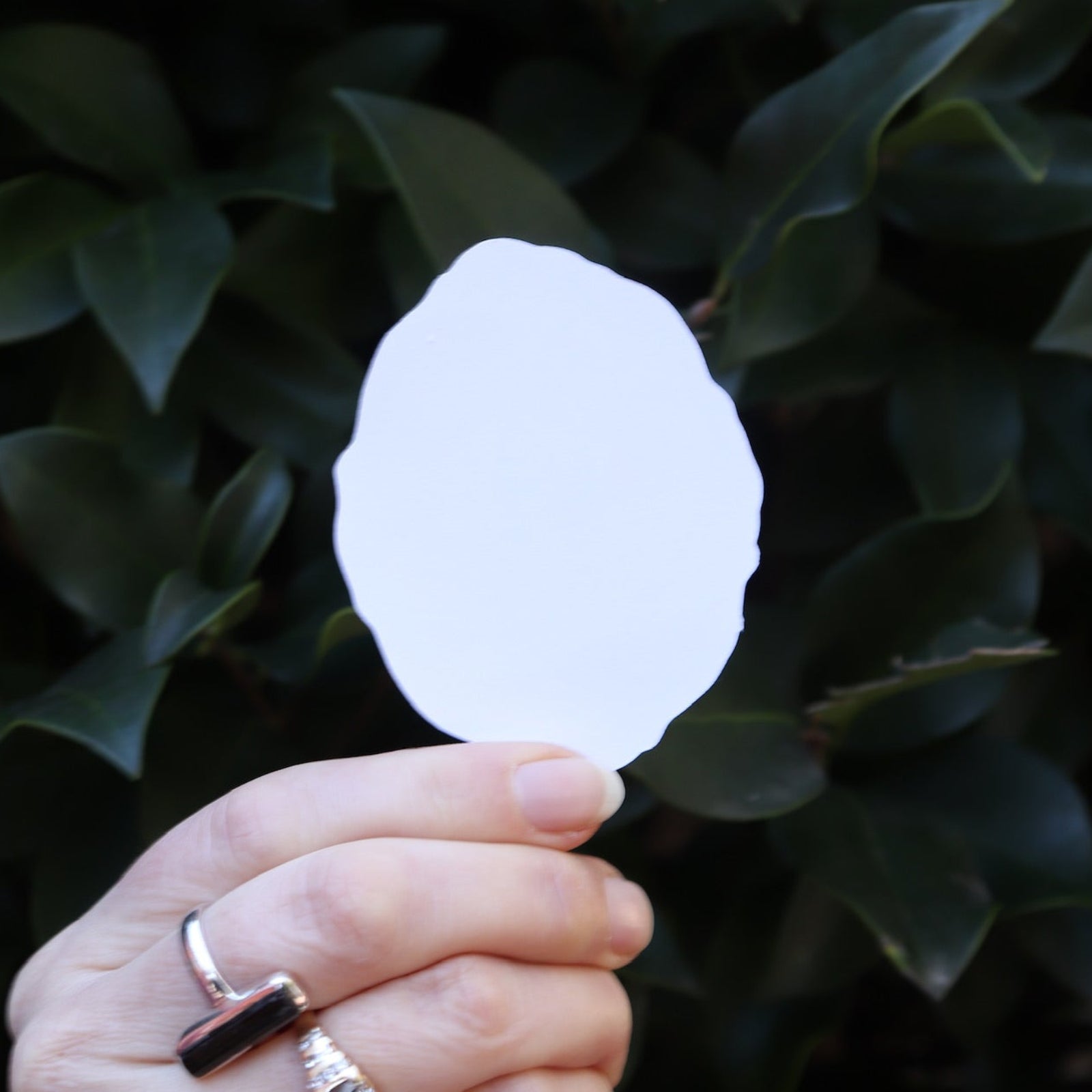 Someone holding the Virgen de Guadalupe Sticker in front of a green bush, showing off the back.