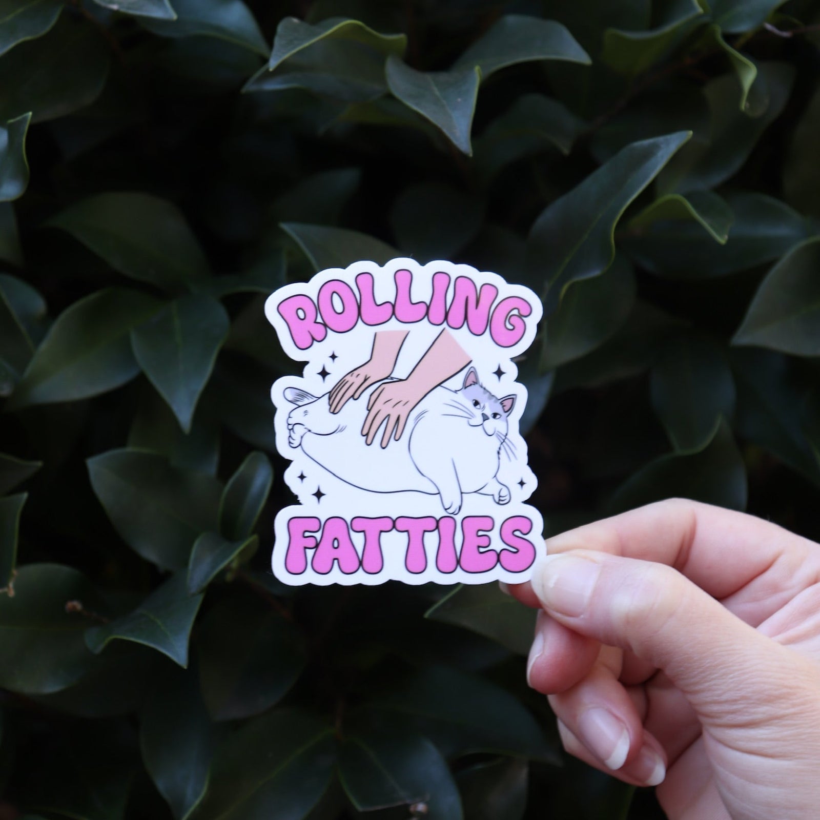Someone the Rolling Fatties Funny Cat Sticker in front of a green bush.