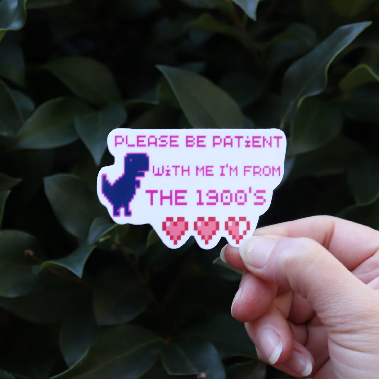 Someone holding the Please Be Patient With Me Millennial Funny Sticker in front of a green bush.