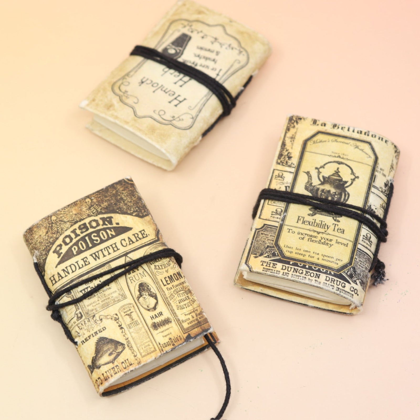 Three of the Lotions & Potions Mini Journals on a pink and yellow background.