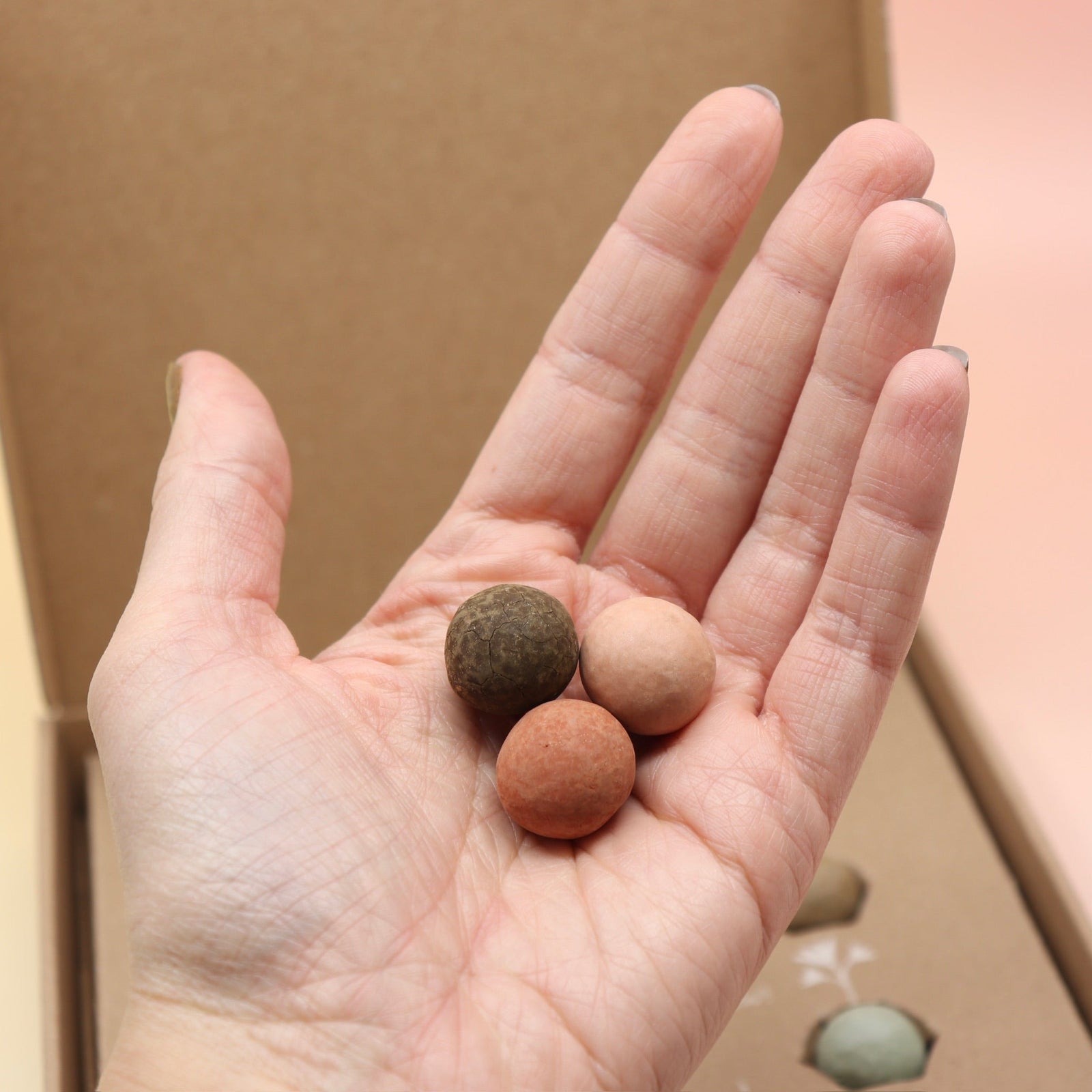 Someone holding three of the seed bomb balls in front of the Colorful Xmas Wildflower Seed Bomb Balls Set on a pink and yellow background.