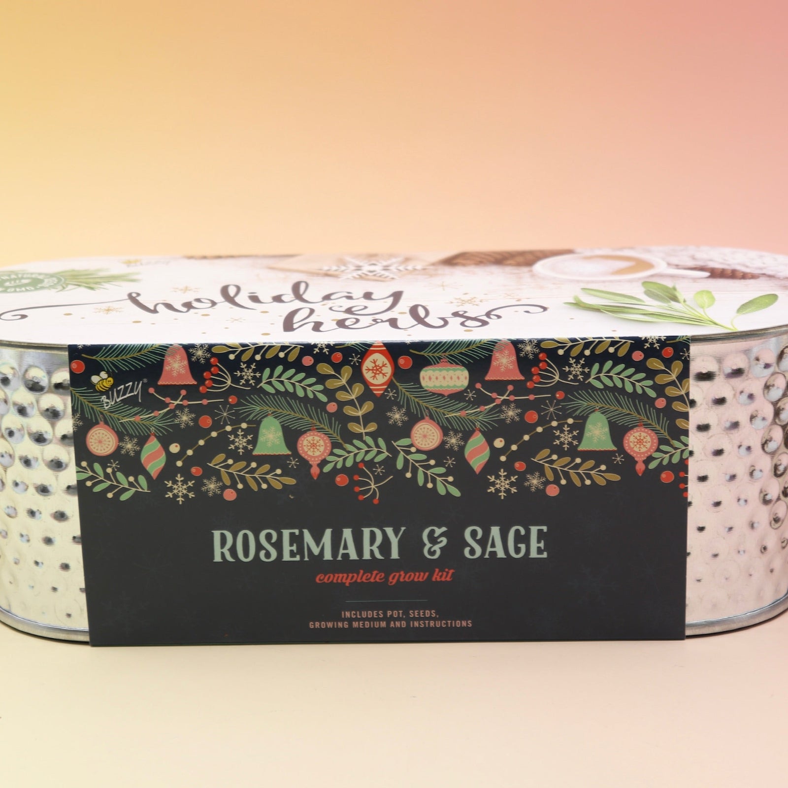 The Holiday Hammered Windowsill Rosemary & Sage Growing Kit on a pink and yellow background.