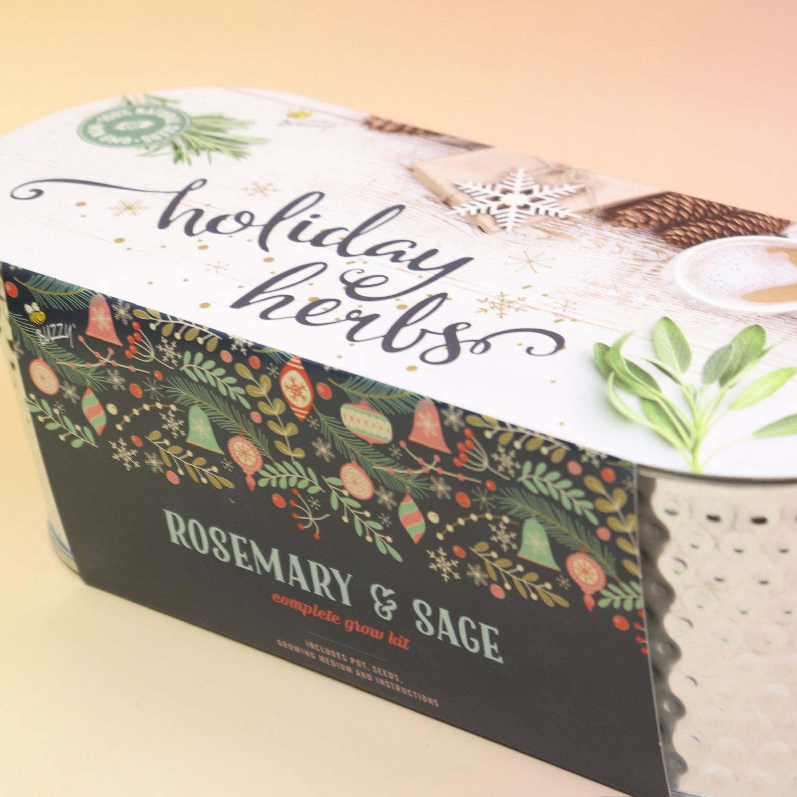 The Holiday Hammered Windowsill Rosemary & Sage Growing Kit on a pink and yellow background.