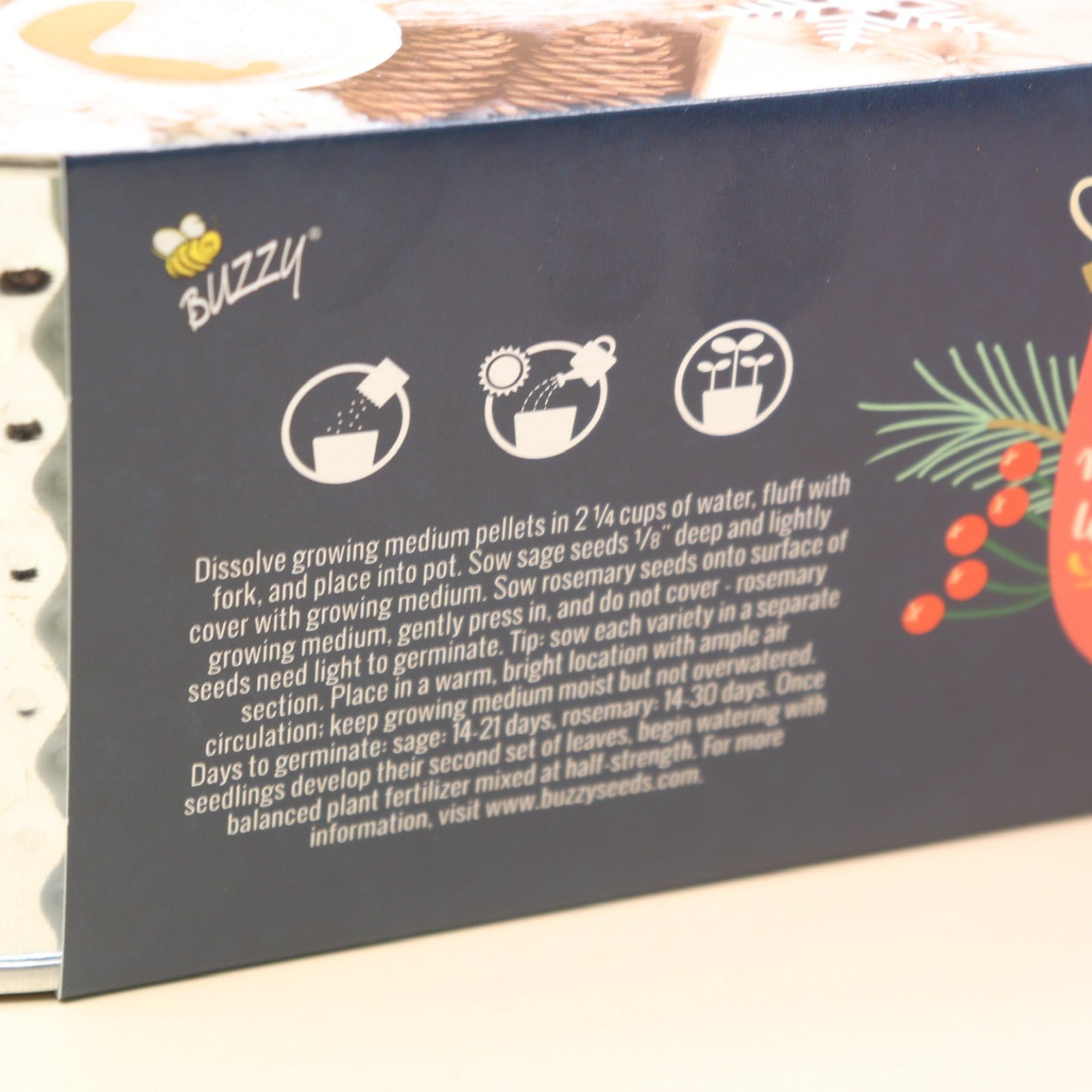 The back of the Holiday Hammered Windowsill Rosemary & Sage Growing Kit on a pink and yellow background.