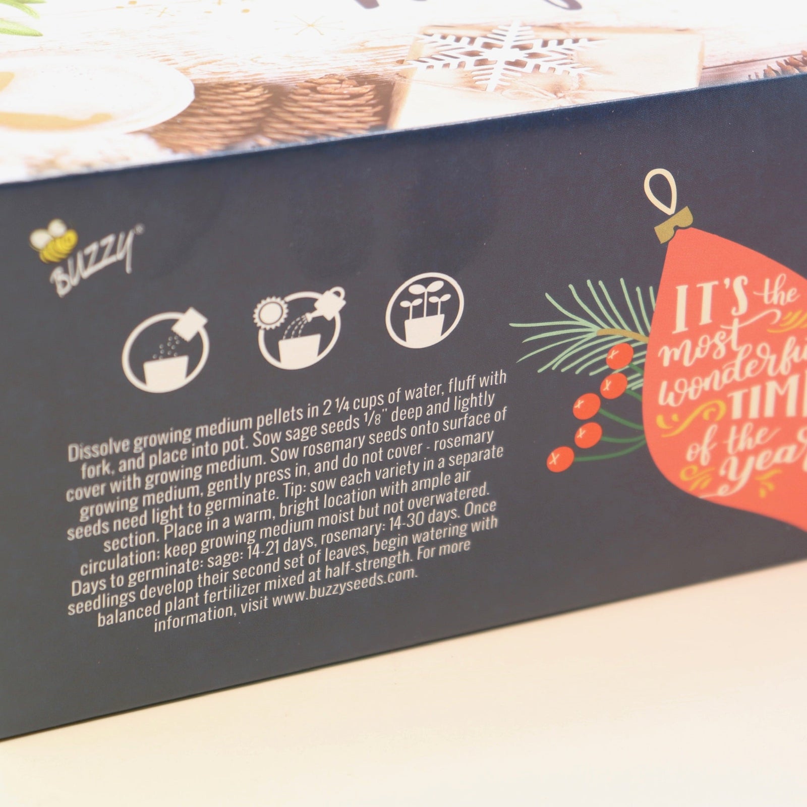 The back Holiday Hammered Windowsill Rosemary & Sage Growing Kit on a pink and yellow background.