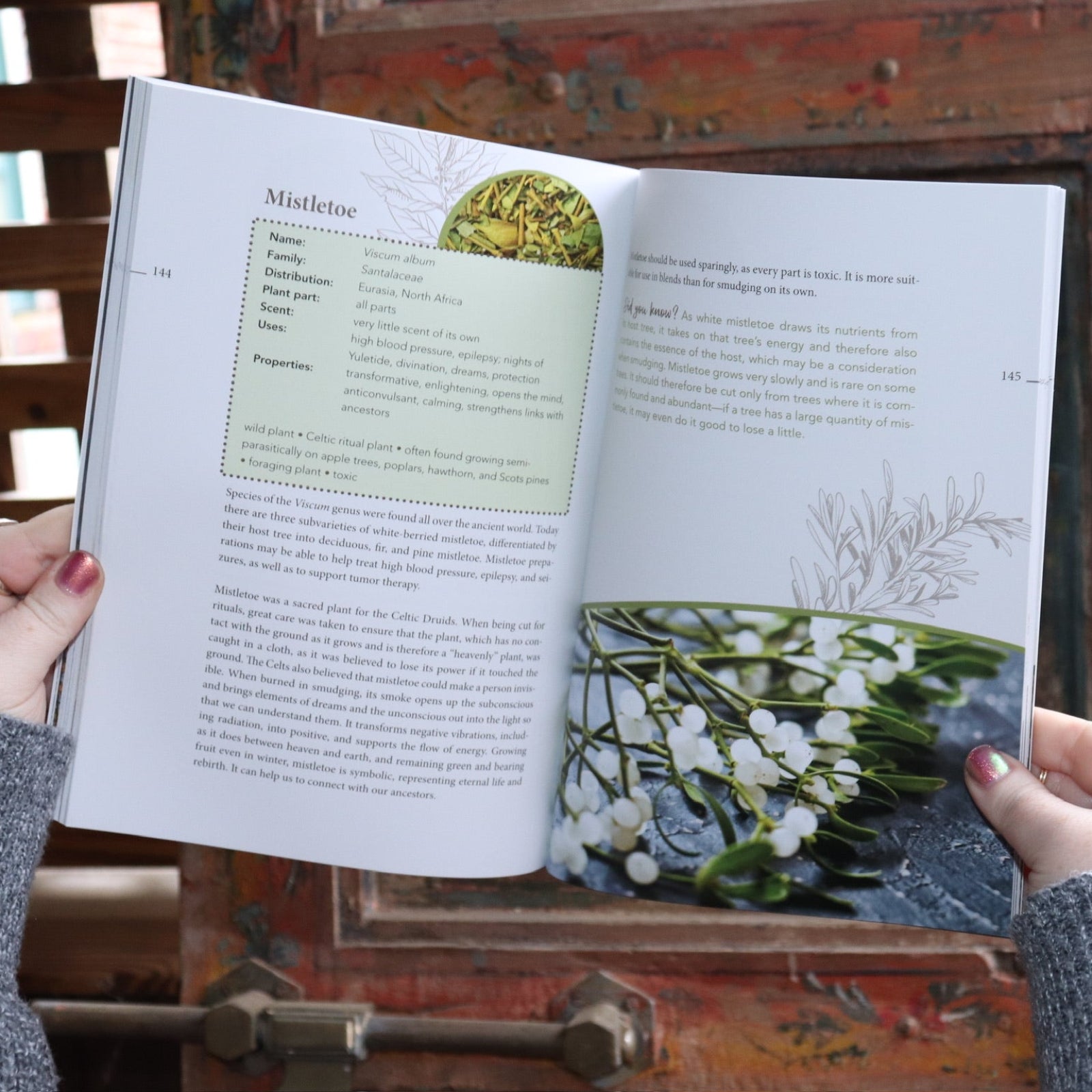 Someone holding the Complete Smudging Handbook Paperback Book open in front of a wooden background, showing off the pages.