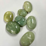 Jade Palm Stone