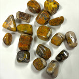 Bumblebee Jasper Crystal Tumble