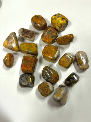 Bumblebee Jasper Crystal Tumble