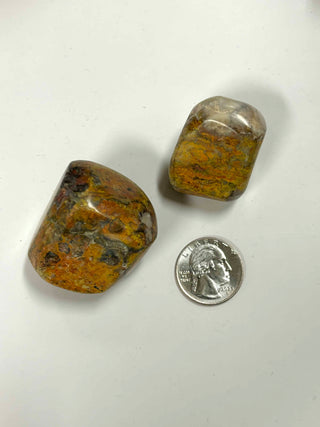 Bumblebee Jasper Crystal tumble