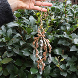 Someone holding the Faerie Gold Suncatcher in front of a green bush.