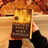 Someone holding the Practical Magic 2 Book of Magic in front of a white background with a large citrine piece.