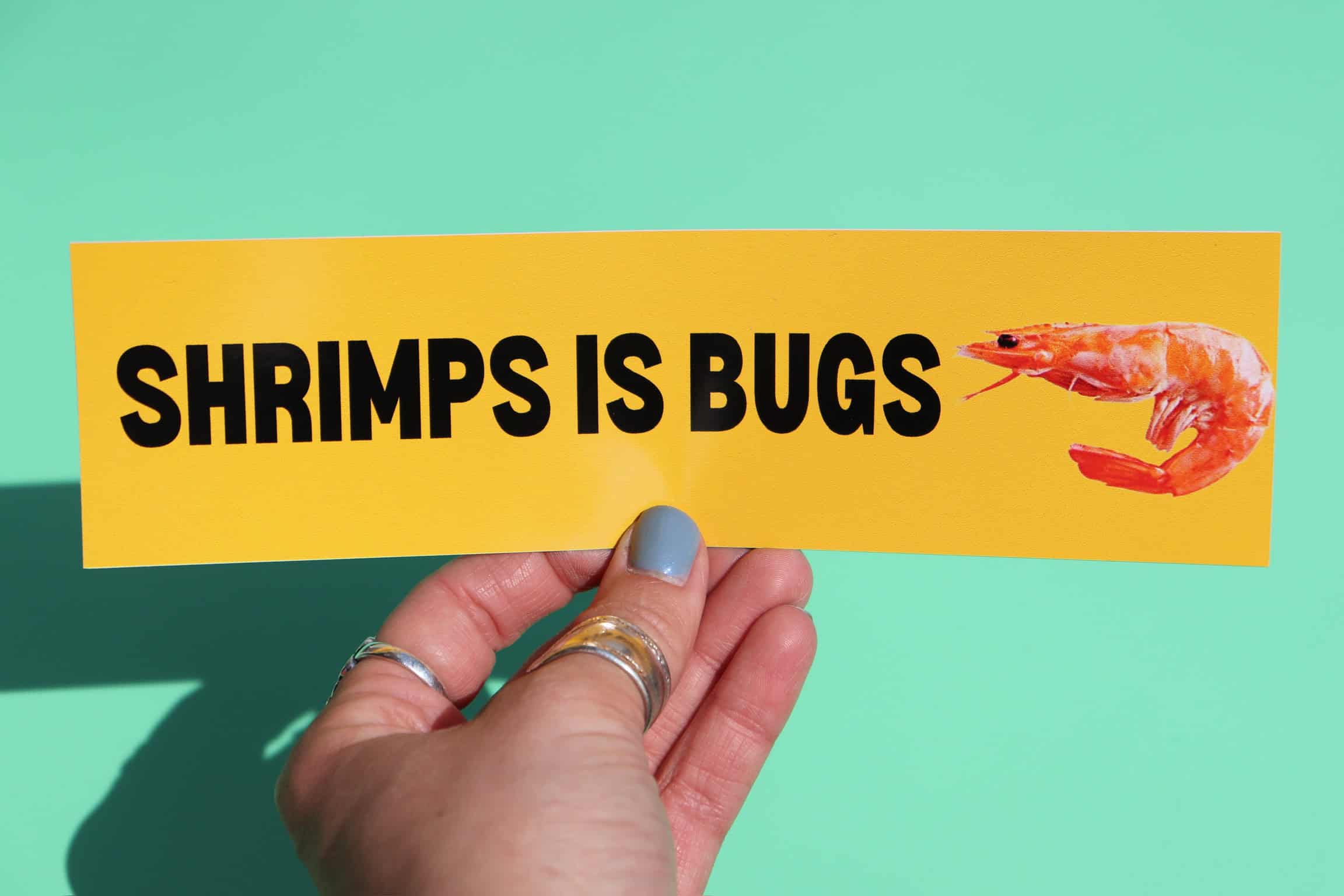 Frogmustard Bumper Sticker 8.5” x 2.5”
