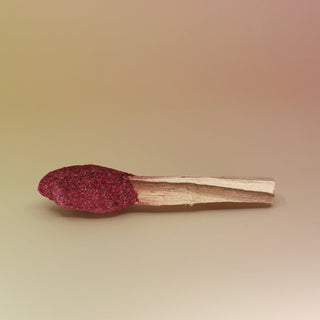 The Dragon's Blood and Palo Santo Pop - 3"-4" Smudge Stick on a pink and yellow background.