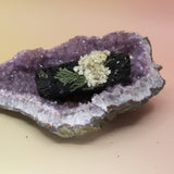 The 'Midnight Bloom' Floral White Sage Smudge Stick 4 in. on an amethyst piece all one a pink and yellow background.