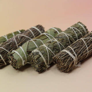 Bundles of sage on a pink and yellow background.