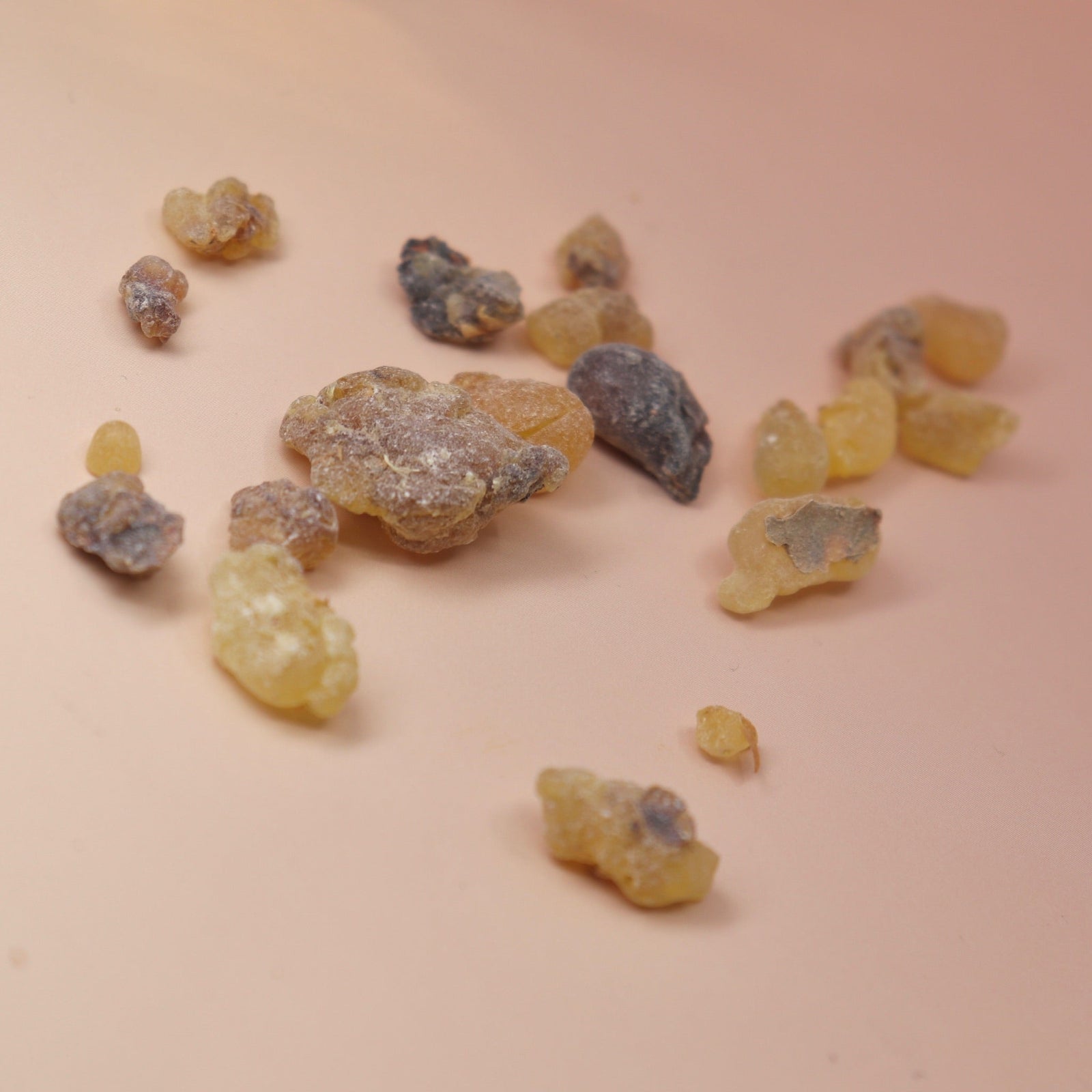 An up close image of the frankincense pieces on a light pink background.