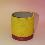 The Cordelia Multicolored Portal Stoneware 5 in. Planter on a pink and yellow background showing off the back.