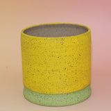 The Megan Multicolored Portal Stoneware 5 in. Planter on a pink and yellow background showing off the back.