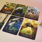 The contents of the Seasons of the Witch - Litha Oracle Card Deck.