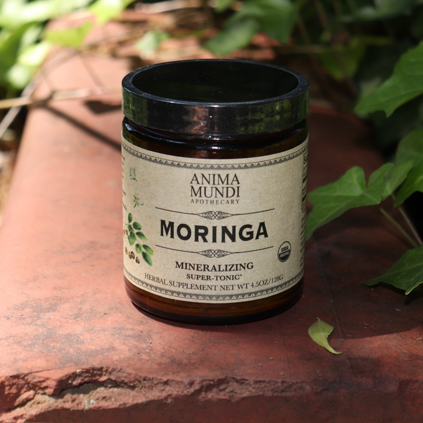 The Moringa Super-Tonic - 4.5oz Powder Energy Booster on red concrete next to greenery.