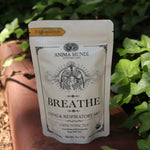 The Breathe - Organic Lung Tonic Tea on a rusty red surface next to ivy.