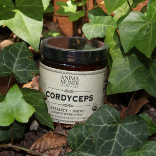 The Cordyceps Energy Super Tonic Mushroom Powder in a bunch of ivy.