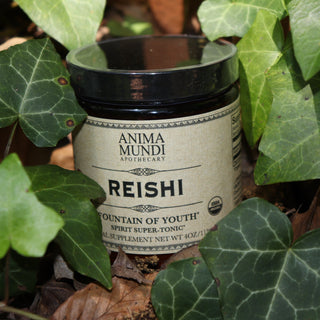 The Reishi Spirit Super Tonic - Fountain of Youth 4oz Powder on a rusty red surface surrounded by green ivy.