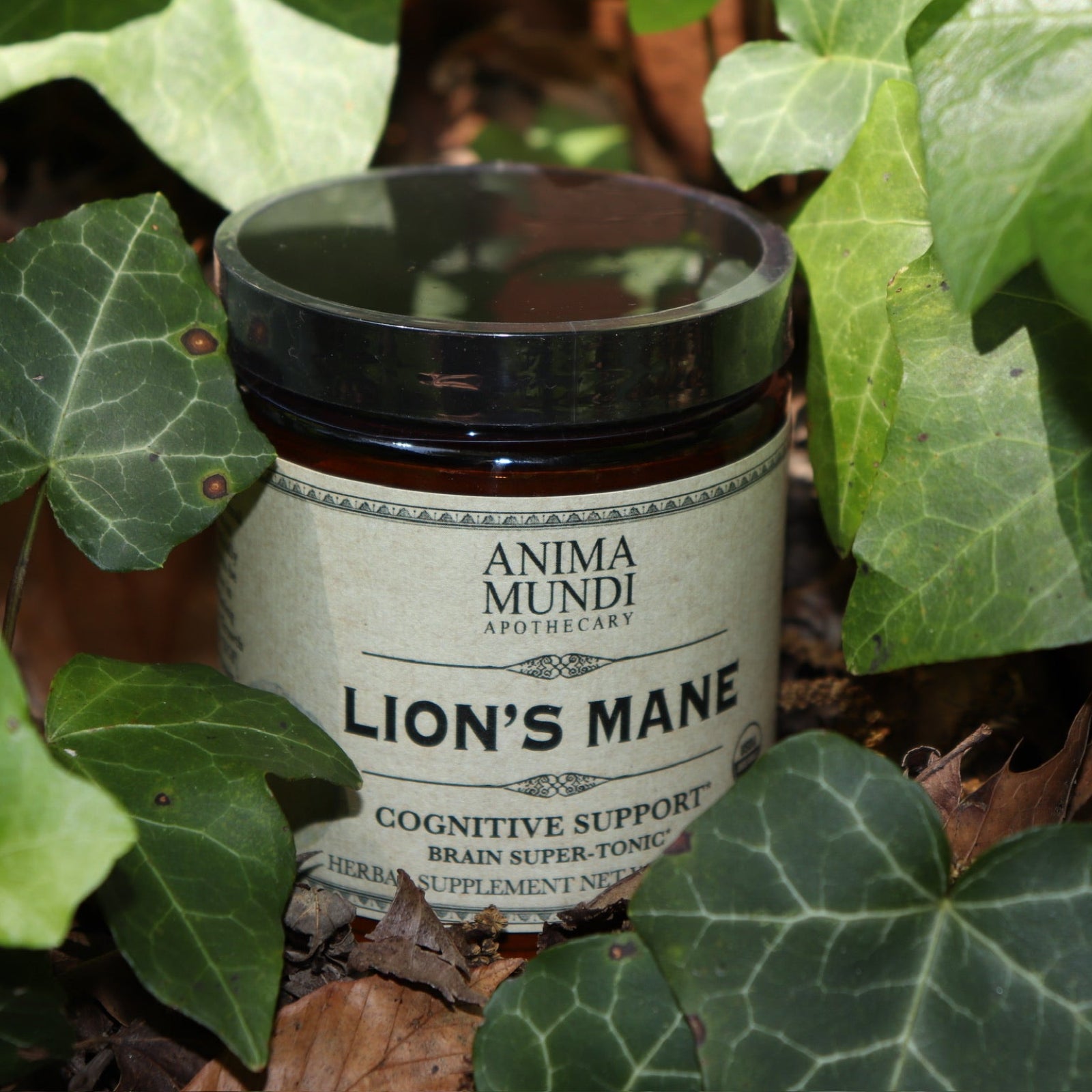 The Lion's Mane - 5oz Brain Super-Tonic Powder surrounded by ivy.