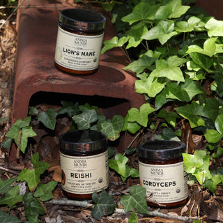 The Cordyceps Energy Super Tonic Mushroom Powder, Reishi powder, and Lion's Mane powder all next to ivy.