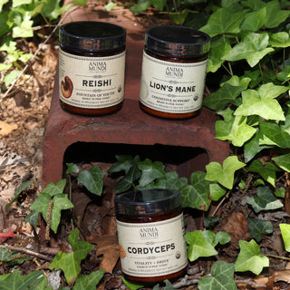 The Cordyceps Energy Super Tonic Mushroom Powder, Reishi powder, and Lion's Mane powder all next to ivy.