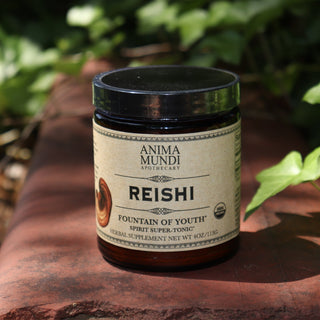 The Reishi Spirit Super Tonic - Fountain of Youth 4oz Powder on a rusty red surface surrounded by green ivy.