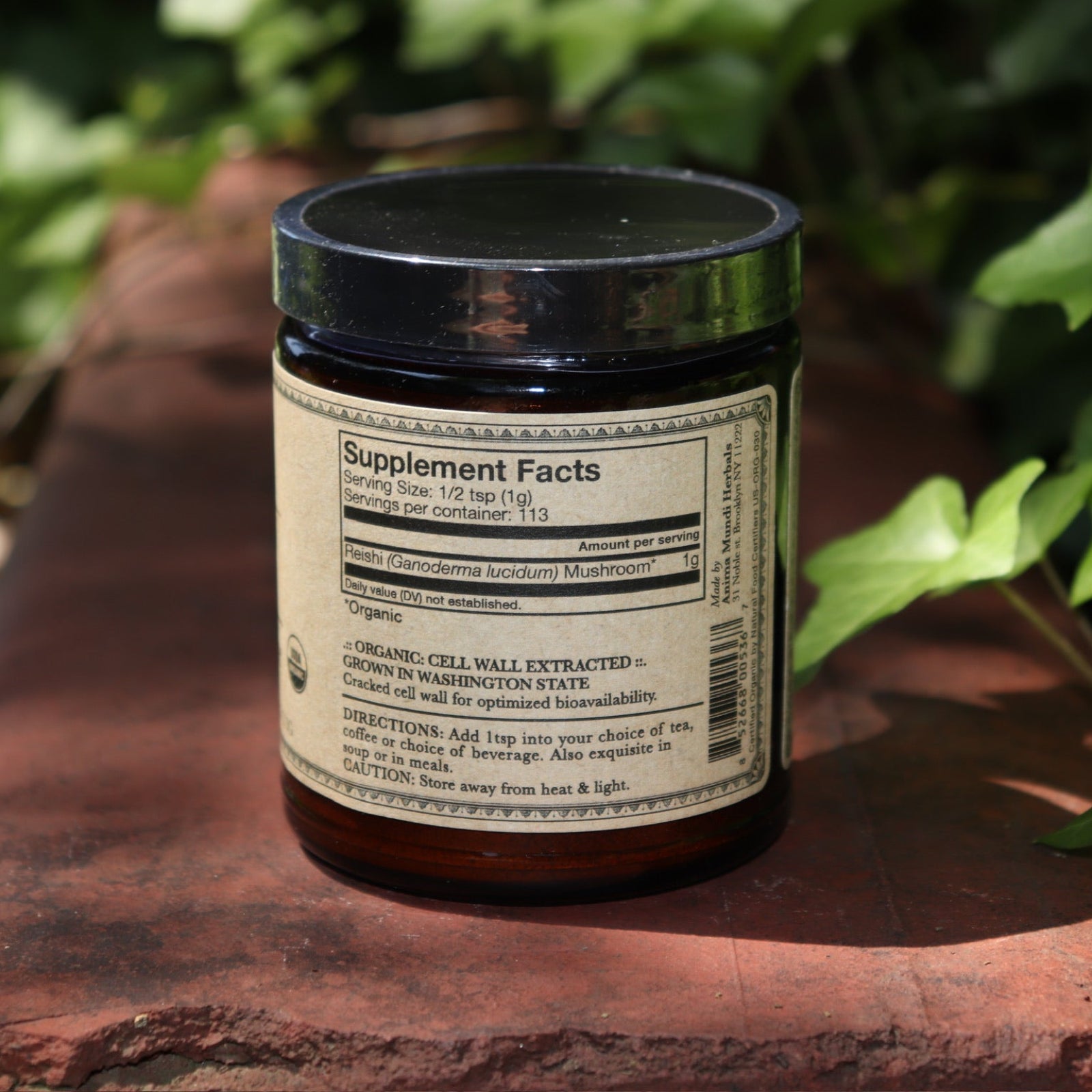 The Reishi Spirit Super Tonic - Fountain of Youth 4oz Powder on a rusty red surface surrounded by green ivy.