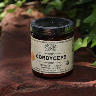 The Cordyceps Energy Super Tonic Mushroom Powder on a red surface next to greenery.