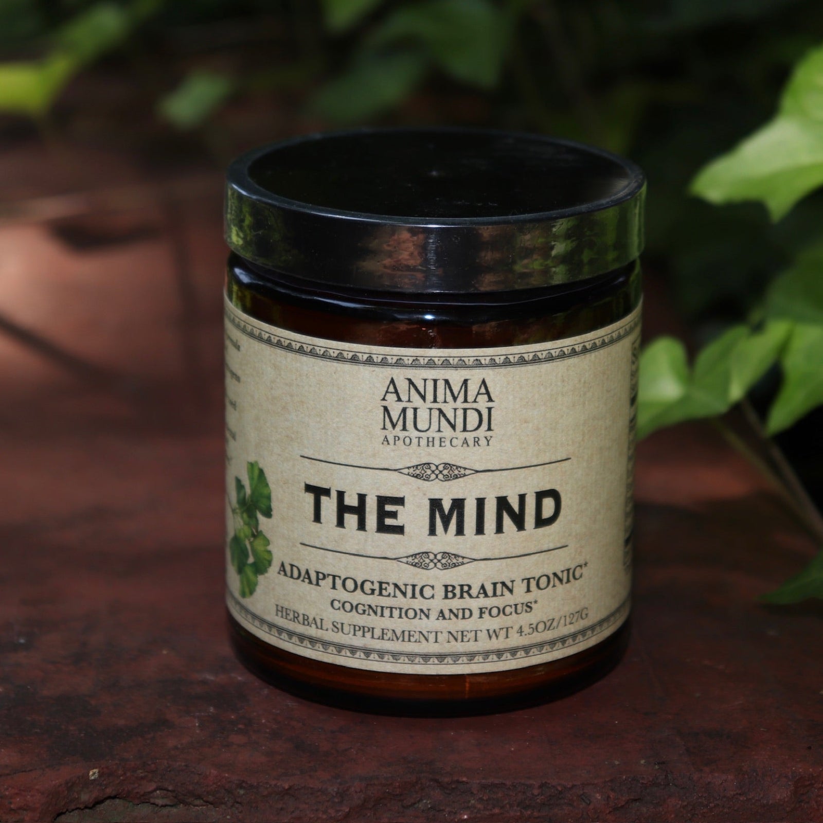 The Mind - Cognition + Focus 4.5 oz Powder on a rusty red surface surrounded by green ivy.