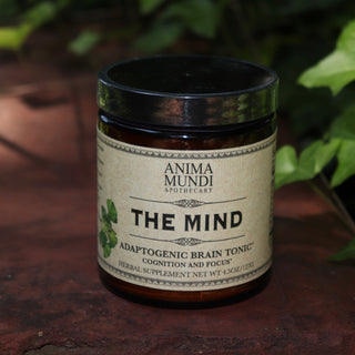 The Mind - Cognition + Focus 4.5 oz Powder on a rusty red surface surrounded by green ivy.