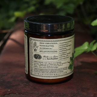 The side of The Mind - Cognition + Focus 4.5 oz Powder on a rusty red surface surrounded by green ivy.