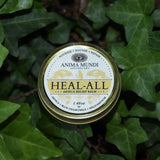 The Heal-All Arnica - Nourish, Soothe + Repair Relief Balm on ivy.
