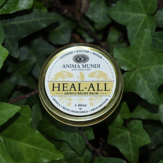 The Heal-All Arnica - Nourish, Soothe + Repair Relief Balm on ivy.