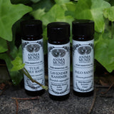 All the Anima Mundi Apothecary essential oils (Tulsi Holy Basil, Lavender Kashmir, and Palo Santo) on a concrete surface in front of a patch of ivy.