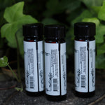 All the Anima Mundi Apothecary essential oils (Tulsi Holy Basil, Lavender Kashmir, and Palo Santo) on a concrete surface in front of a patch of ivy.