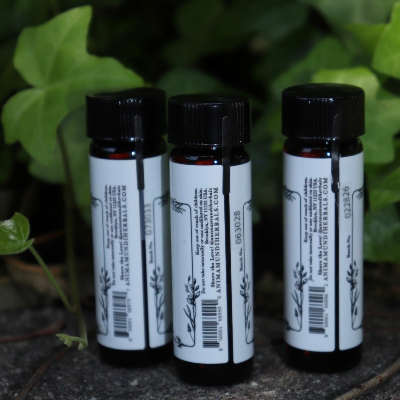 All the Anima Mundi Apothecary essential oils (Tulsi Holy Basil, Lavender Kashmir, and Palo Santo) on a concrete surface in front of a patch of ivy.