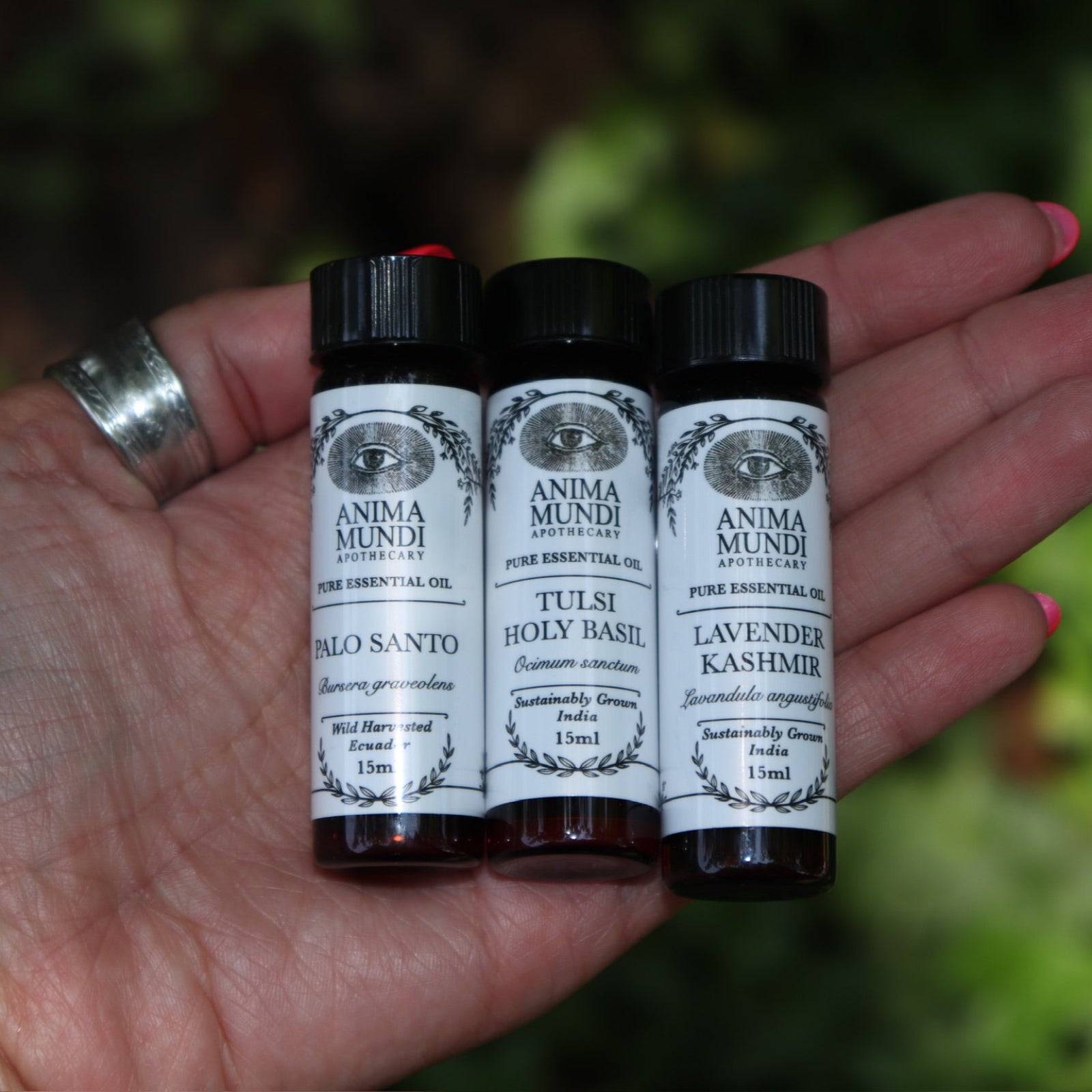 Someone holding all the Anima Mundi Apothecary essential oils (Tulsi Holy Basil, Lavender Kashmir, and Palo Santo).