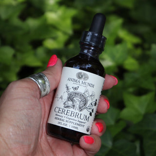 Someone holding the Cerebrum - Nootropic + Cognitive Support Tonic in front of a patch of ivy.