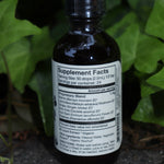 The back of the Cerebrum - Nootropic + Cognitive Support Tonic on a concrete surface in front of ivy.