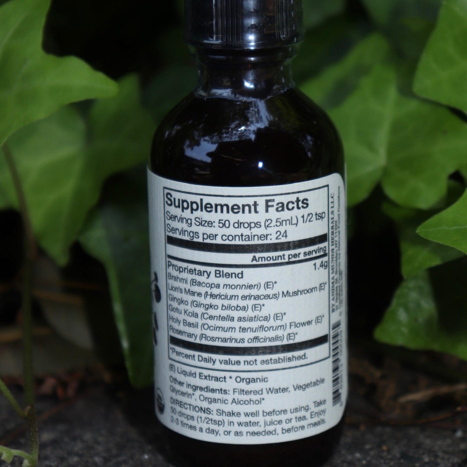 The back of the Cerebrum - Nootropic + Cognitive Support Tonic on a concrete surface in front of ivy.