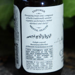 The side of the Cerebrum - Nootropic + Cognitive Support Tonic on a concrete surface in front of ivy.